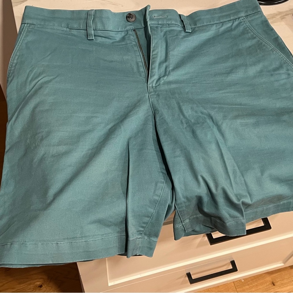 Lacoste Teal Regular Fit Cotton Shorts